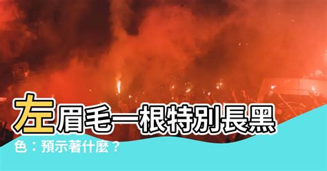 左眉毛一根特別長黑色|【左眉毛一根特別長黑色】左眉毛一根特別長黑色：預。